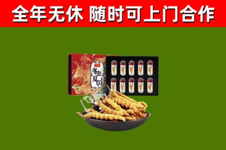 大姚回收冬虫夏草价格