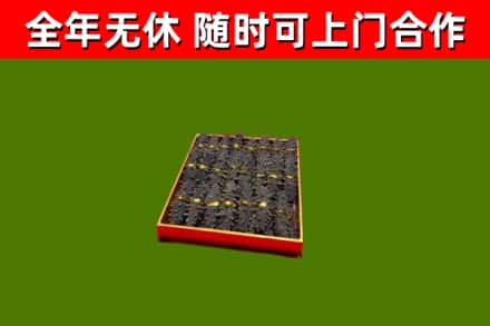 大姚烟酒回收海参.jpg